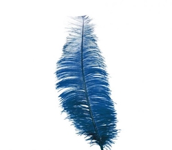 Pírko modré 30 cm