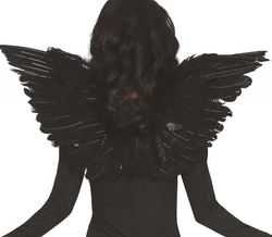 Křídla černá, 62 cm