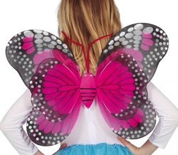 Křídla Motýlek, 50x37 cm